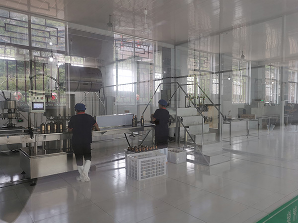 工廠展示LYW-047
