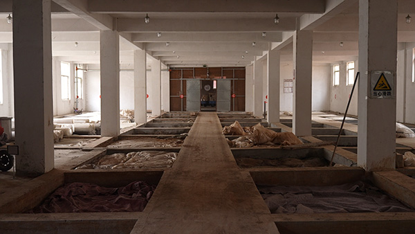 工廠展示LYW-049
