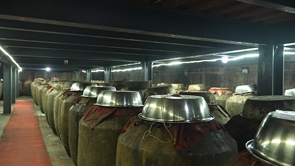 工廠展示LYW-051